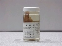 藏品(海雞母笛鯛)的圖片